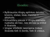 Žemaitės „Marti“ apsakymo erdvė 9 puslapis