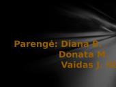 Žemaitės „Marti“ apsakymo erdvė 10 puslapis