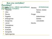 Vertybės. Dorybės 13 puslapis