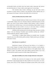 Mano bendravimo ypatumai 3 puslapis