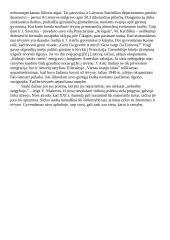 Kas žmogui teikia ramybės? 2 puslapis