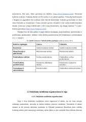 Verslo komunikacijos su Tailando šalimi ypatumai 11 puslapis