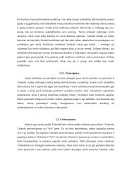 Verslo komunikacijos su Tailando šalimi ypatumai 12 puslapis