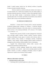 Mokyklos dabarties ir jos vizijos apibūdinimas: Vilniaus Taikos pagrindinė mokykla 3 puslapis