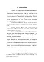 Mokyklos dabarties ir jos vizijos apibūdinimas: Vilniaus Taikos pagrindinė mokykla 6 puslapis