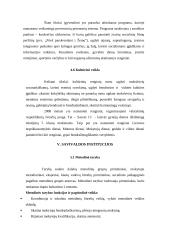 Mokyklos dabarties ir jos vizijos apibūdinimas: Vilniaus Taikos pagrindinė mokykla 7 puslapis