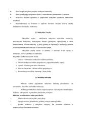 Mokyklos dabarties ir jos vizijos apibūdinimas: Vilniaus Taikos pagrindinė mokykla 8 puslapis