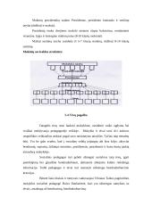 Mokyklos dabarties ir jos vizijos apibūdinimas: Vilniaus Taikos pagrindinė mokykla 9 puslapis