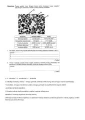 Kraujotaka (namų darbas) 4 puslapis