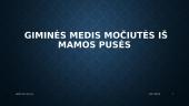 Mano giminės pristatymas 2 puslapis