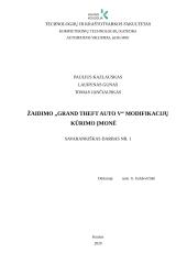Žaidimo „Grand theft auto V“ modifikacijų kūrimo įmonė