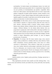 Psichologijos namų kontrolinis darbas 4 puslapis