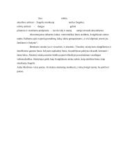 Aido Marčėno eilėraščio nagrinėjimas 4 puslapis