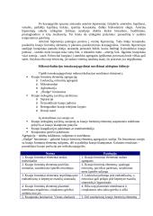 Mikrocirkuliacijos intrakraujagysliniai sutrikimai uždegimo židinyje 3 puslapis