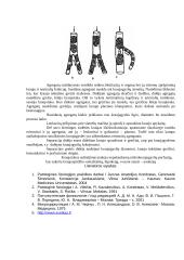 Mikrocirkuliacijos intrakraujagysliniai sutrikimai uždegimo židinyje 5 puslapis