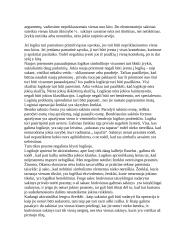 Kalbos ir tikrovės santykis L. Vitgenšteino filosofijoje 12 puslapis