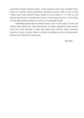 Ar amžinųjų idealų laikas jau praėjęs? 2 puslapis