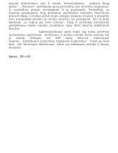 Ar darbo prasmė praeityje ir šiandien tokia pati? 2 puslapis