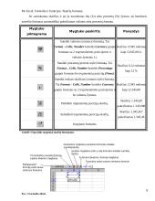 MS Excel. Formulės ir funkcijos. Skaičių formatai 8 puslapis