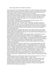 Balio Sruogos eilėraščio ,,Vidunaktinė“ interpretacija