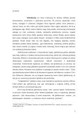 Globalizacijos procesas pasaulyje 2 puslapis