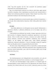 Globalizacijos procesas pasaulyje 14 puslapis