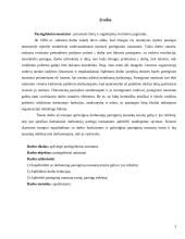 Pareigybiniai nuostatai 2 puslapis