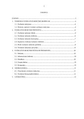 Sveikatos mokymo modeliai, principai, būdai ir andragogika 2 puslapis