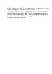 Hamletiškos asmenybės lietuvių literatūroje (Mykolaitis-Putinas, Škėma) 2 puslapis