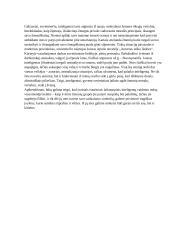 Kaip keičiasi inteligento vaidmuo visuomenėje? (Kudirka, Sruoga, Aputis) 2 puslapis