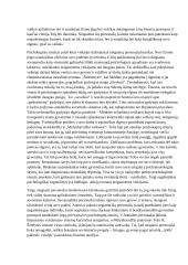 Kas būdinga jūsų studijuotų romanų neigiamiems personažams? Kaip autoriai sukuria neigiamą tų personažų įspūdį? 2 puslapis