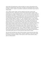 Kas žmogui teikia ramybę 2 puslapis