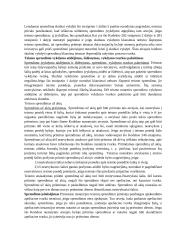 Civilinio proceso teisės medžiaga 16 puslapis