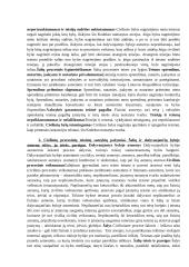 Civilinio proceso teisės medžiaga 3 puslapis