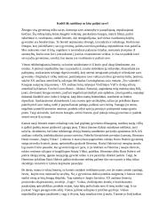 Kodėl tik susidūręs su kitu pažįsti save? (Hesė)