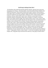 Kodėl žmogui reikalinga kelionė laiku