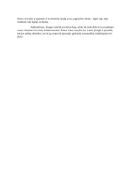 Kokios yra amžinosios vertybės 2 puslapis