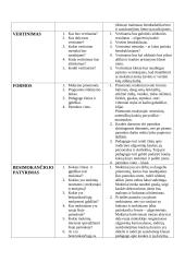 Pamokos plano "Užgavėnių kaukės kūrimas, aptariant lietuvių užgavėnių kaukių darymo tradicijas" analizė 3 puslapis