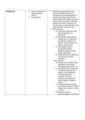 Pamokos plano "Užgavėnių kaukės kūrimas, aptariant lietuvių užgavėnių kaukių darymo tradicijas" analizė 5 puslapis