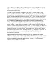 Literatūra - būdas pažinti pasaulį ir save 2 puslapis