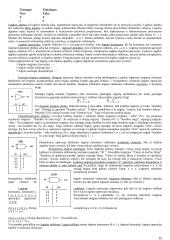 Informatikos termino kilmė ir apibrėžimai 19 puslapis