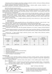 Informatikos termino kilmė ir apibrėžimai 3 puslapis