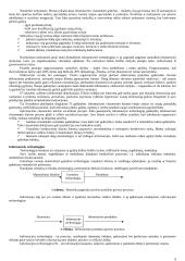 Informatikos termino kilmė ir apibrėžimai 5 puslapis