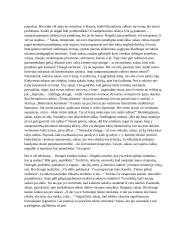 Pasakojamasis rašinys 2 puslapis