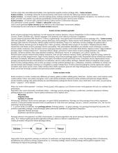 Kaimo turizmo verslas