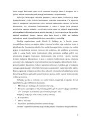 Mokyklos ir klasės bendruomenės įtaka asmenybei, santykiai klasėje 2 puslapis