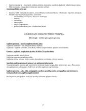 Auklėjimo teorijos pagrindai 17 puslapis