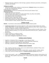 Auklėjimo teorijos pagrindai 4 puslapis