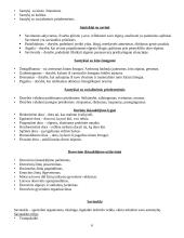 Auklėjimo teorijos pagrindai 6 puslapis