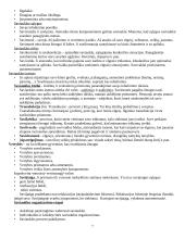 Auklėjimo teorijos pagrindai 7 puslapis